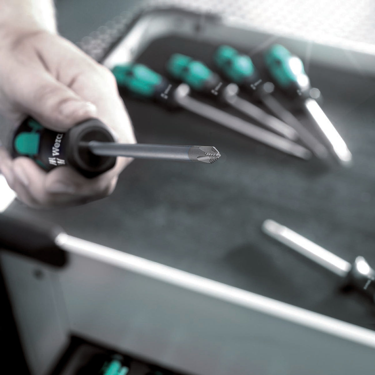 Wera TORX Screwdriver Set with Hold Function and Rack, 6-Piece Set
