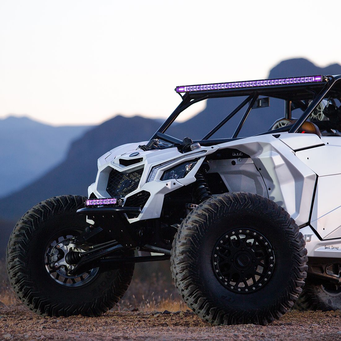 Rigid Industries - 220603 - Auxiliary Light - Radiance Plus SR-Series LED Light 8 Option RGBW Backlight 20 Inch RIGID