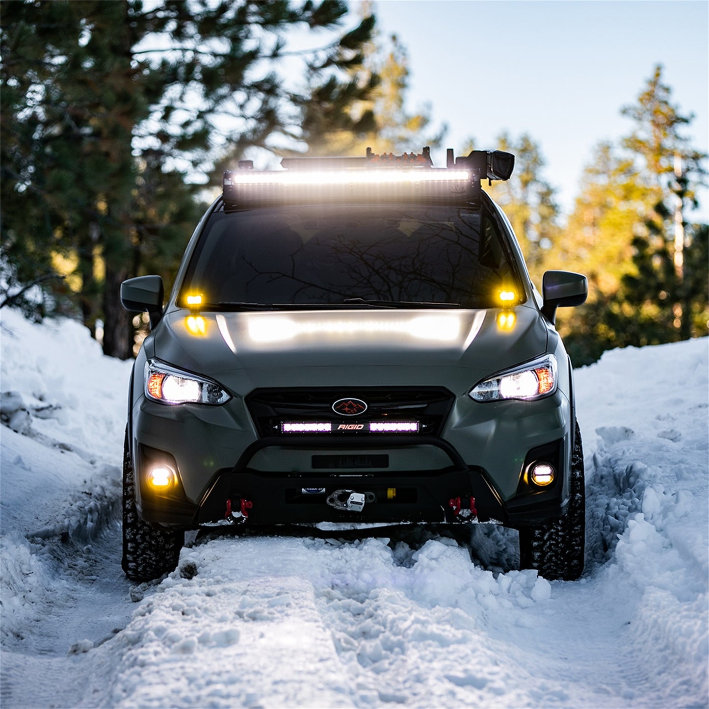 Rigid Industries - 36122 - Fog Light