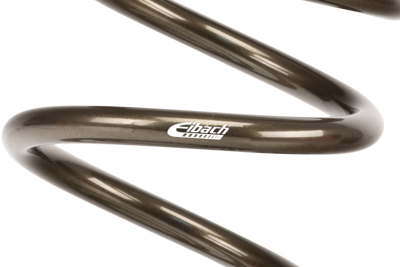 Eibach Platinum Modified Front Spring eibPF0950.500.0650