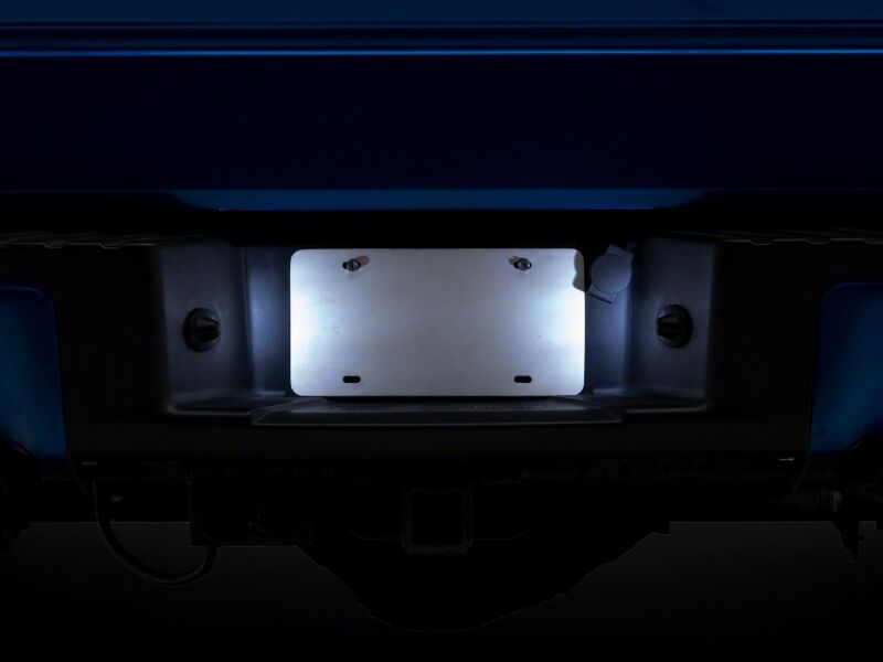 Raxiom Ford F150 Axial Series LED License Plate Lamps - Part T584721
