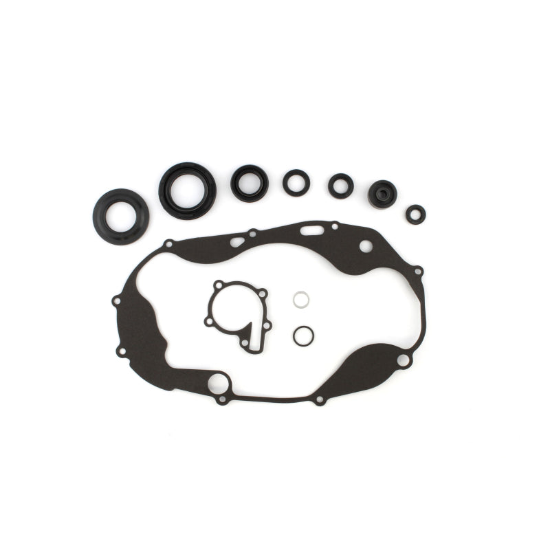 CG Oil Seal Kit