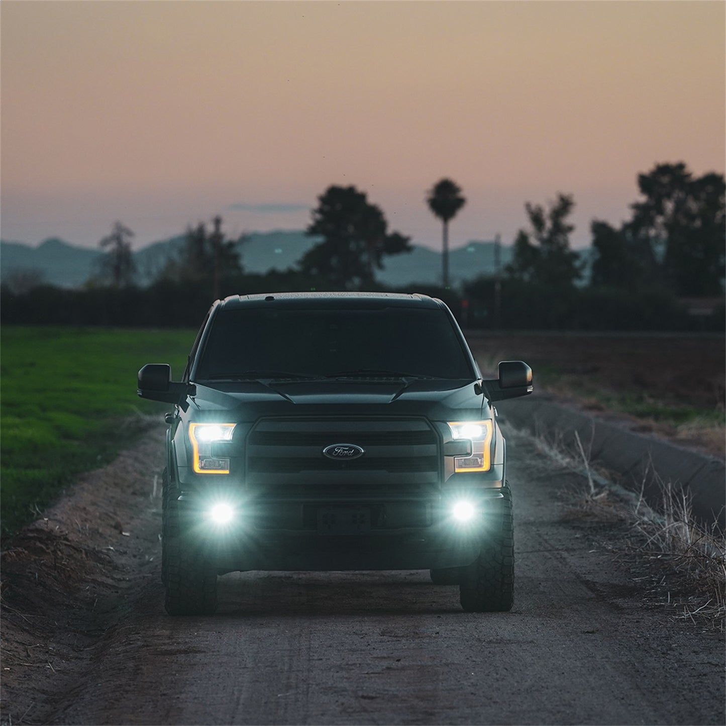 Rigid Industries - 50482 - Fog Light