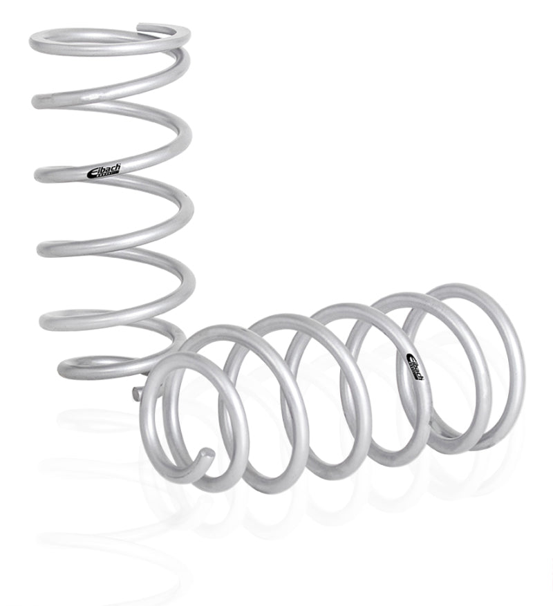 Eibach Pro-Truck Lift Kit 19-21 Ram 1500 4WD Rear (Incl. Lift Springs/Sport Shocks)