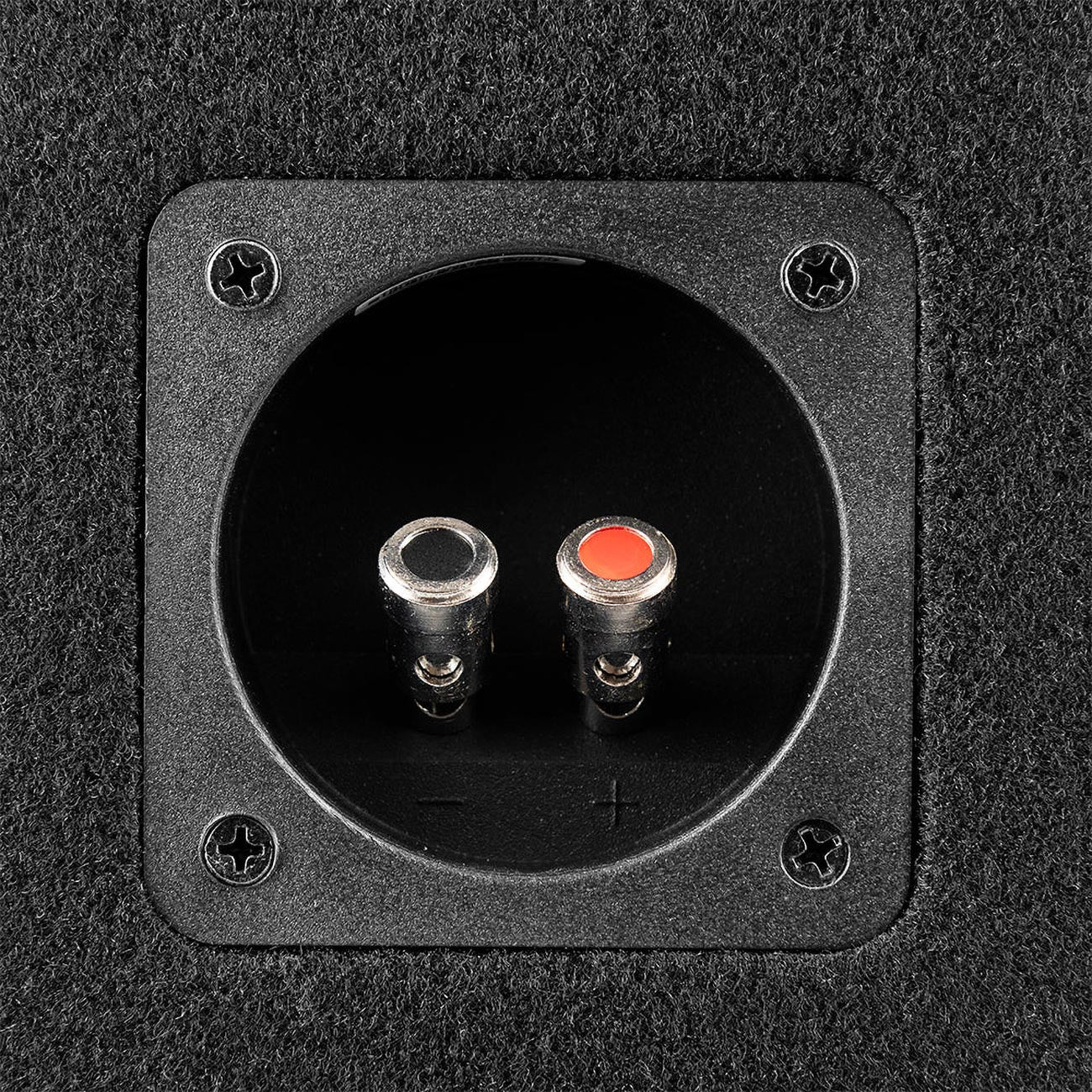 DS18 Dual 10-Inch Subwoofer Ported Enclosure - Model GENX210LD