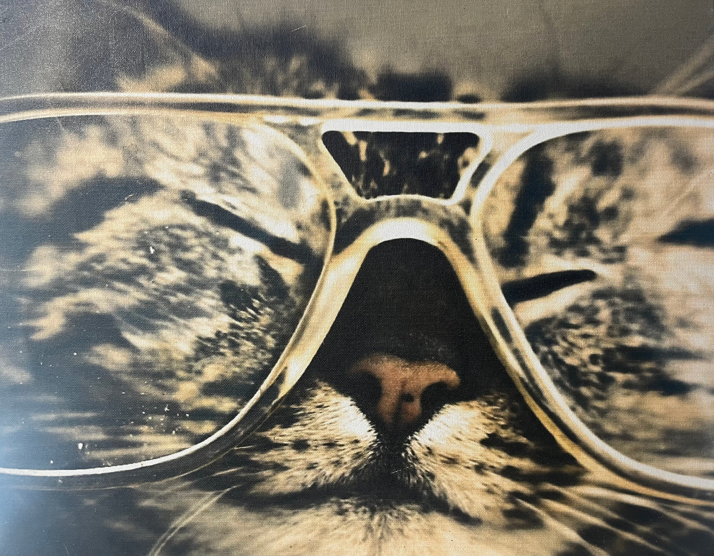 Visible Soundz 21" x 17" Canvas Bluetooth Speaker VS2177BT2