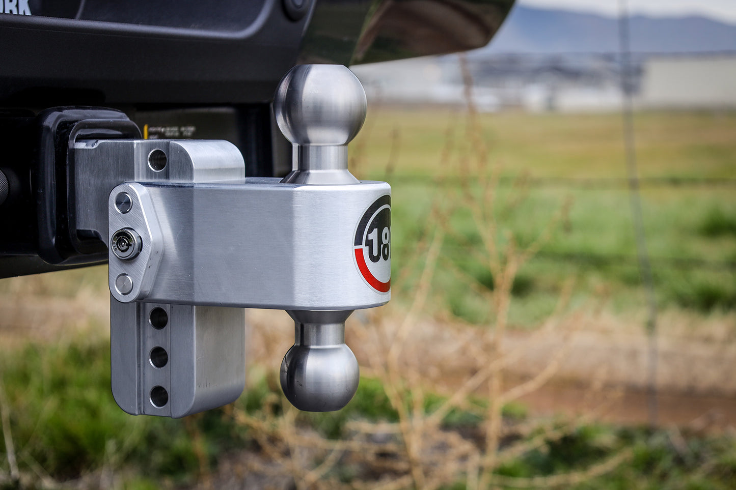 Weigh Safe - LTB4-2.5 - Trailer Hitch - 180 Hitch Stainless Steel Ball 4" Drop Hitch with 2.5" Shank - P/N: LTB4-2.5