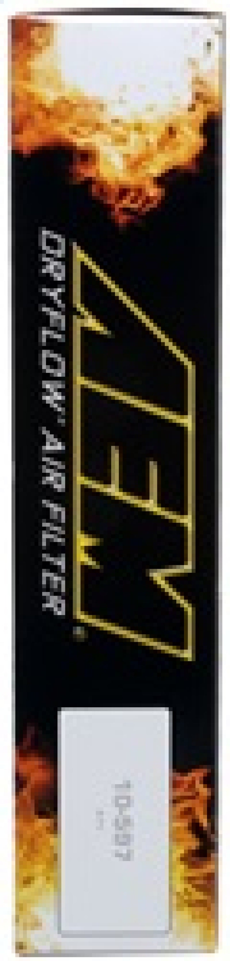 AEM Ford/Lincoln CRVC-GRMR-TWCR 4.6 Air Filter