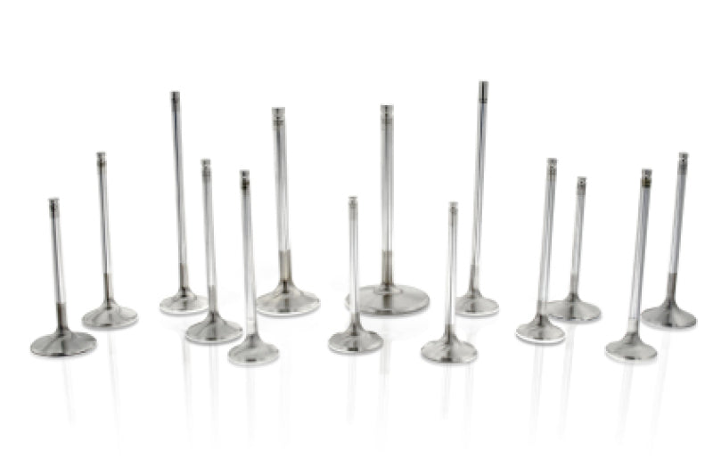 Ferrea ferF2459P Toyota G16E-GTS Competition Plus Intake Valves, Set of 6