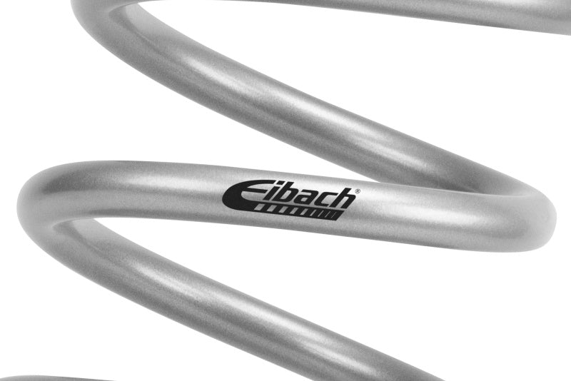 Eibach EIB2200.375.0450S Silver Coilover Race Spring, 3.75-Inch Inside Diameter