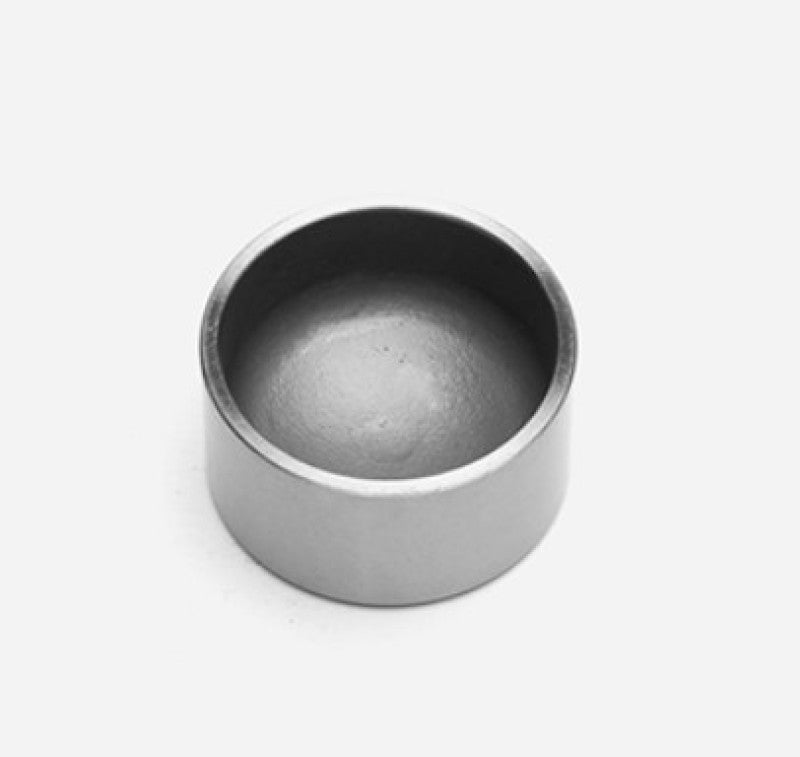 WIL Caliper Pistons