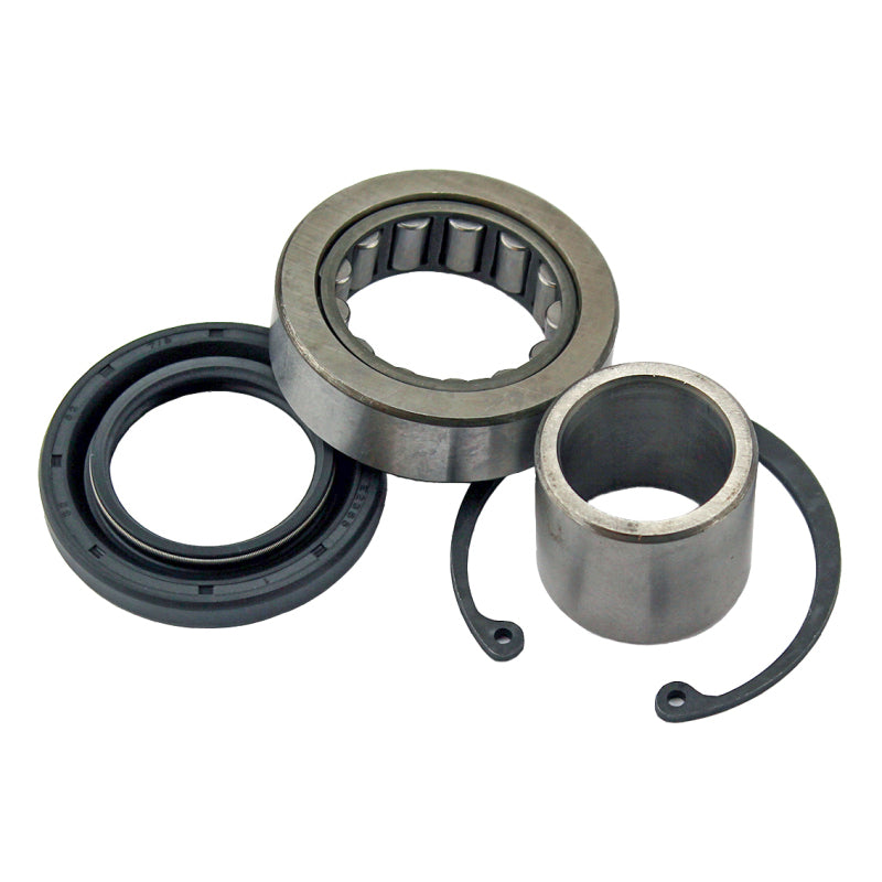 All Balls Racing ABR25-3103 Inner Primary Bearing and Seal Kit for Harley-Davidson