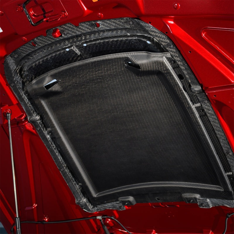 Ford Racing frpM-16612-C20 Carbon Fiber Hood Vent Kit for 2020–2022 Ford Mustang GT500