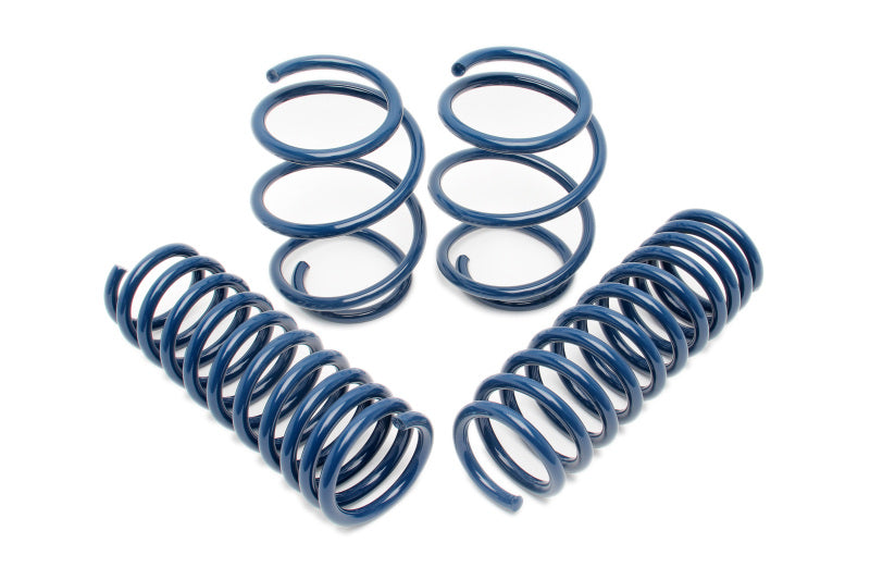 Dinan Performance Spring Set for BMW E39 M5 - Lowering and Improved Handling