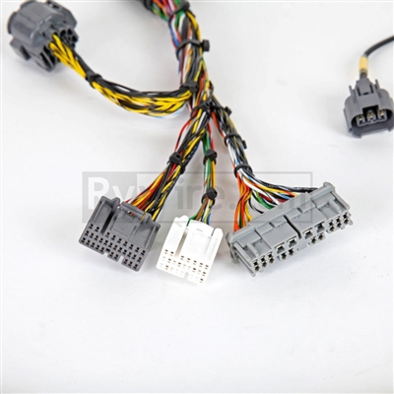 Rywire 02-04 Honda K-Series Mil-Spec Engine Harness