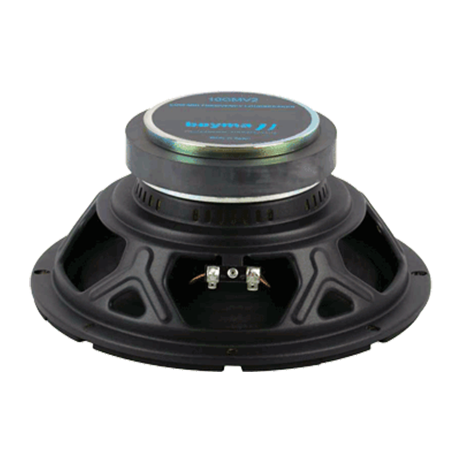 Beyma 10CM/V2 - 10" High-Efficiency Low/Mid Frequency Transducer - View 4