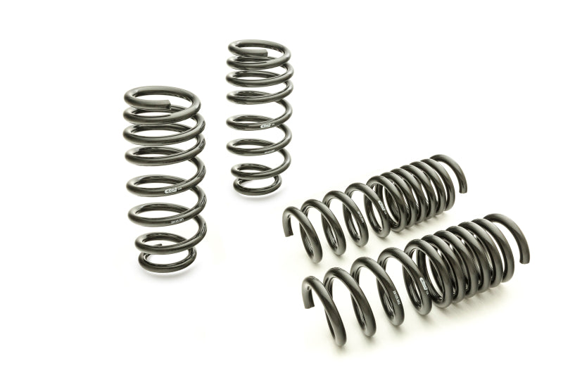 Eibach Pro-Kit for 11-12 Dodge Charger 2WD V6 / 2WD V8 (Will Not Effect Vehicle Height On Scat Pack) - 28105.14