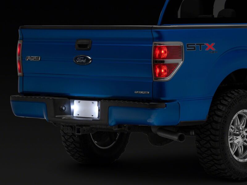 Raxiom Ford F150 Axial Series LED License Plate Lamps - Part T584721
