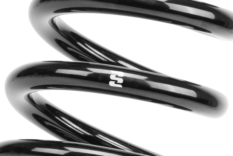 Eibach R40003 Front Coil Spring for 2015–2016 Ford F-150 2WD 3.5L V6 EcoBoost
