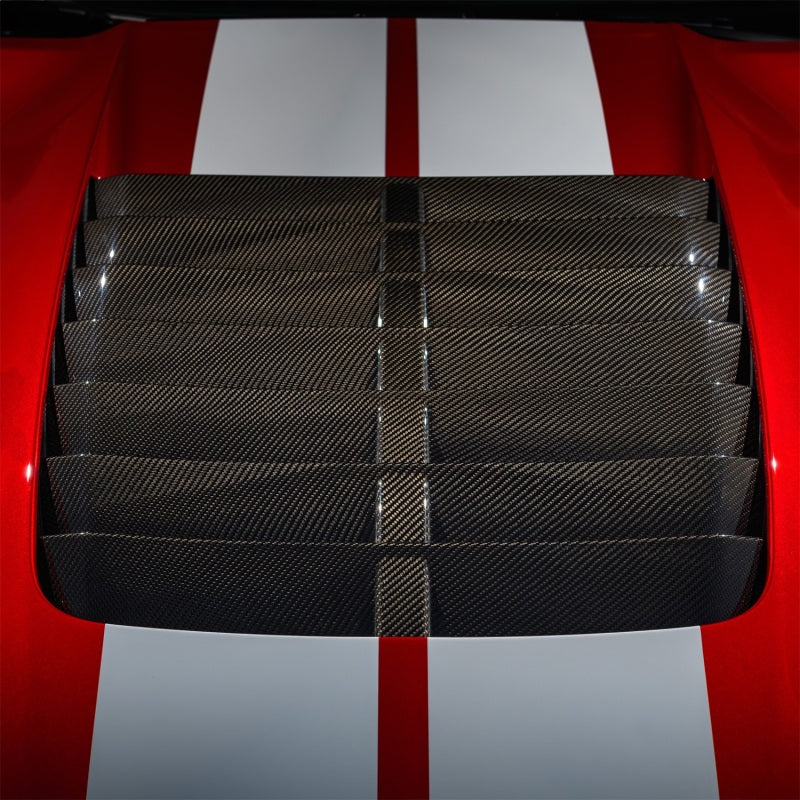 Ford Racing frpM-16612-C20 Carbon Fiber Hood Vent Kit for 2020–2022 Ford Mustang GT500
