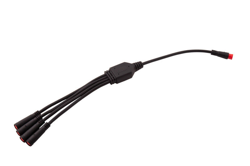 Diode Dynamics RGBW M8 5-Pin 2-Way Splitter Wire, Part Number DD4141