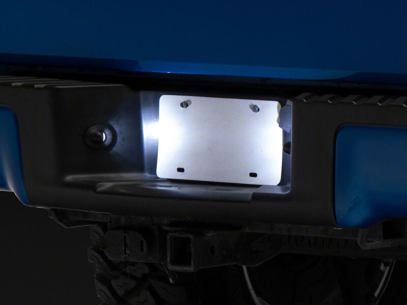 Raxiom Ford F150 Axial Series LED License Plate Lamps - Part T584721