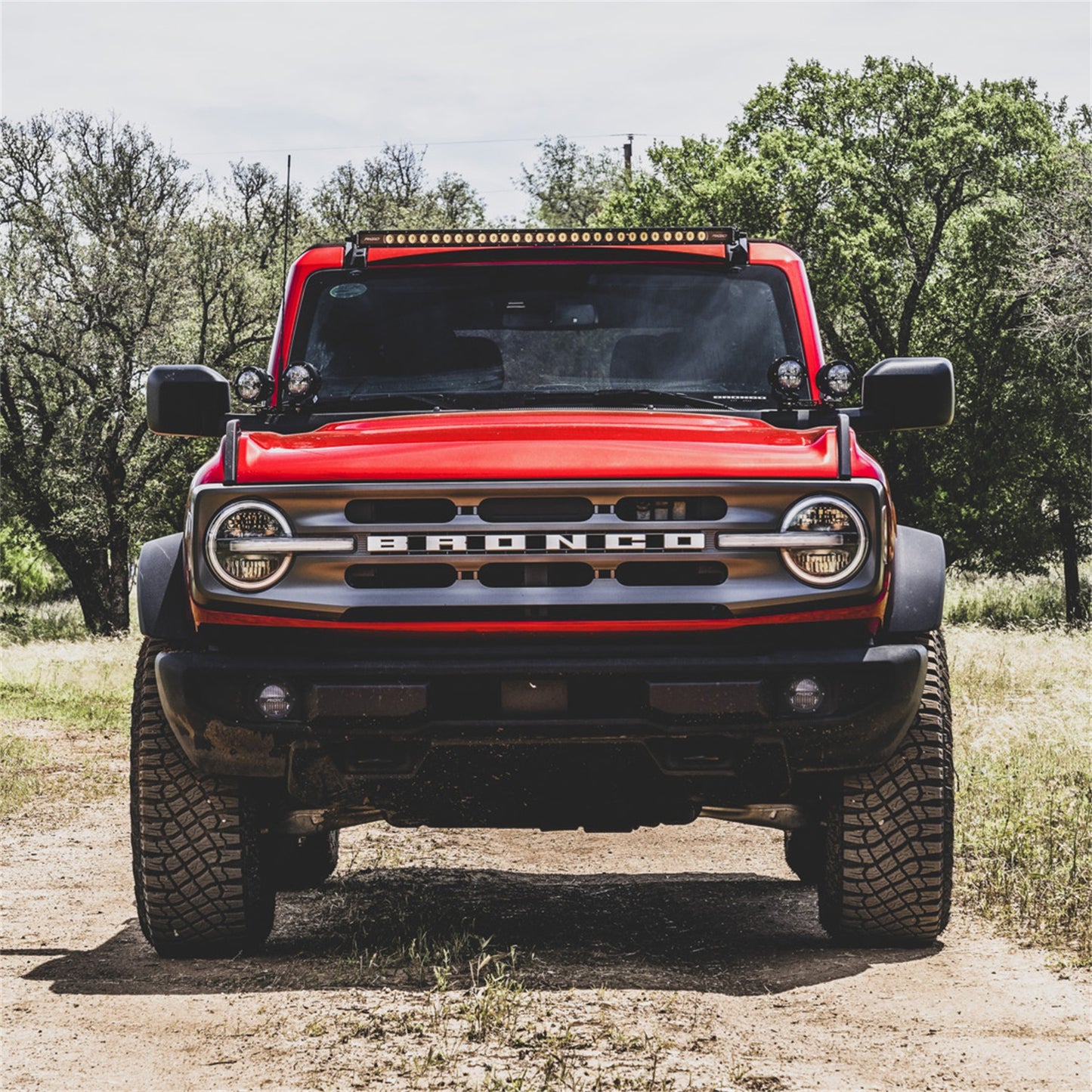 Rigid Industries - 37121 - Fog Light