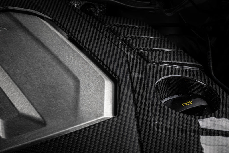 APR 21-26 Audi RS6 Avant / RS7 Sportback EA825 4.0T Carbon Fiber Engine Cover