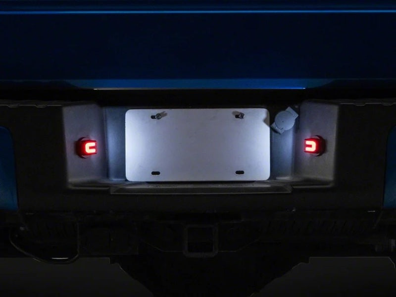 Raxiom 04-14 Ford F-150 LED License Plate Lighting - White and Red, Part T596989