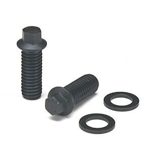 ARP Buick 350-455 3/8in 12pt Header Bolt Kit