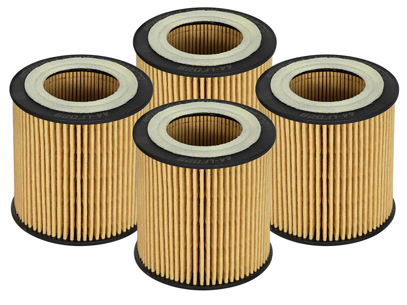 aFe Pro GUARD D2 Oil Filter 06-19 BMW 3.0L Turbo N54/N55, Part Number afe44-LF029-MB, 4-Pack