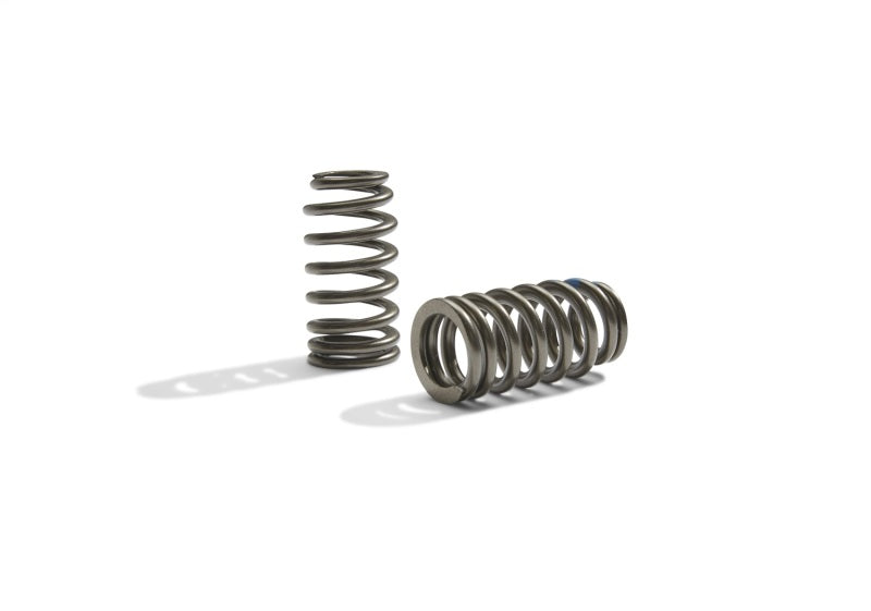 Ford Racing - frpM-6513-M50BR - BOSS 302R Valve Spring Kit