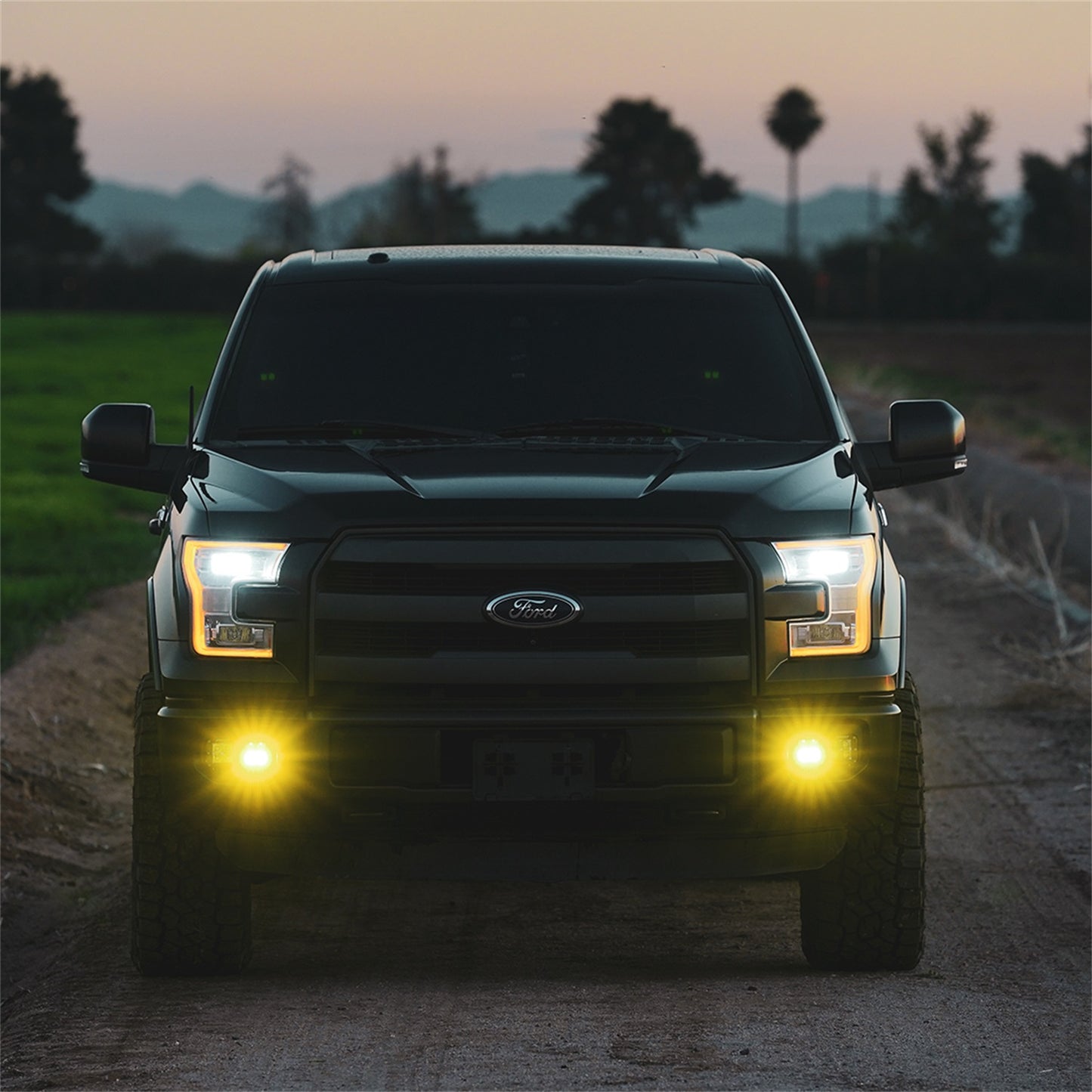 Rigid Industries - 50482 - Fog Light