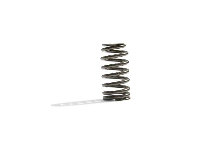 Ford Racing - frpM-6513-M50BR - BOSS 302R Valve Spring Kit