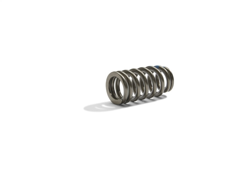 Ford Racing - frpM-6513-M50BR - BOSS 302R Valve Spring Kit