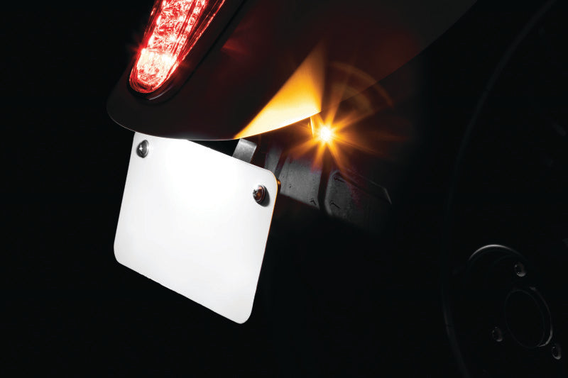 Kuryakyn Rear Turn Signal and License Plate Mount for Indian Scout - Part 3140