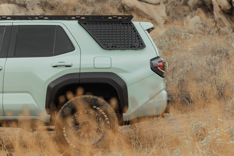 DV8 Offroad 25-26 Toyota 4Runner Exterior Window Molle Panels for DV8 Roof Rack – Driver Side