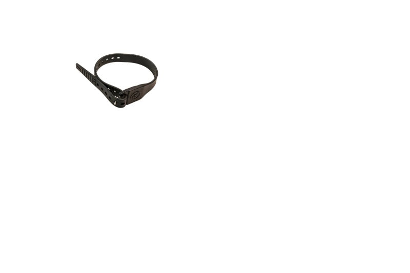 GIA Straps
