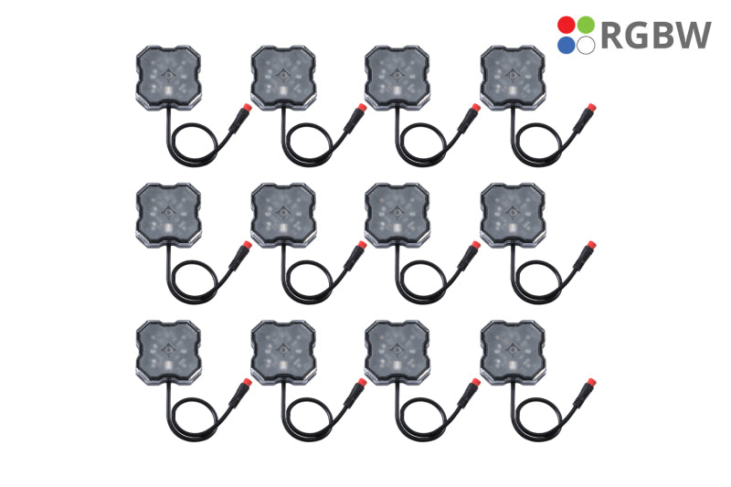 Diode Dynamics RGBW Rock Light Installer Magnet Mount Kit, 12-Pack - DD7749