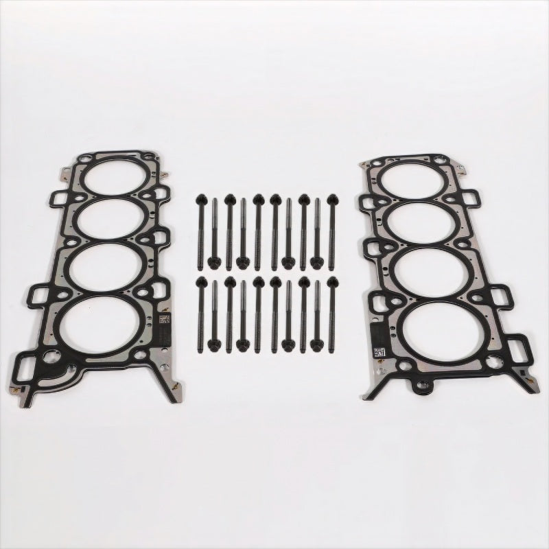 Ford Racing frpM-6067-M5018 5.0L Coyote Head Changing Kit with 12mm Head Bolts