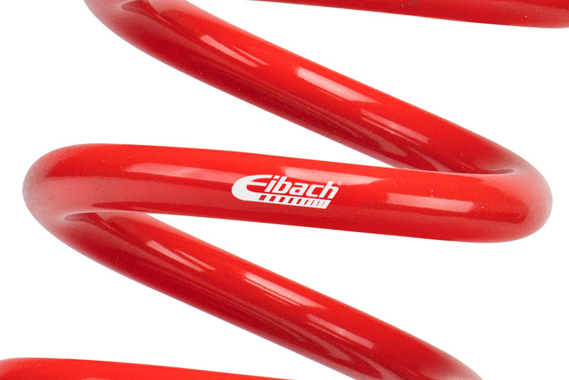 Eibach ERS 0700.2530.0550 XT Barrel Motorsport Race Spring
