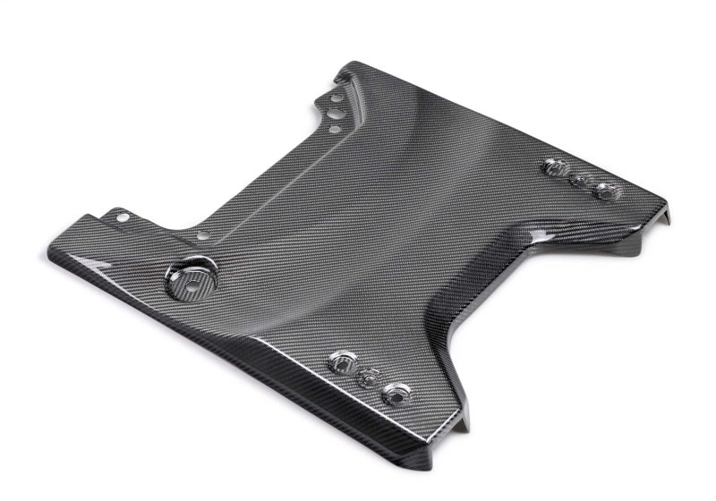 Ford Racing FRPM-16600-BG Carbon Fiber Gloss Tailgate Panel for 2022–2025 Ford Bronco