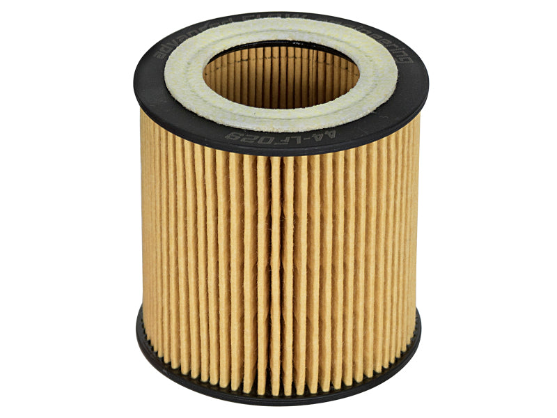 aFe Pro GUARD D2 Oil Filter 06-19 BMW 3.0L Turbo N54/N55, Part Number afe44-LF029-MB, 4-Pack