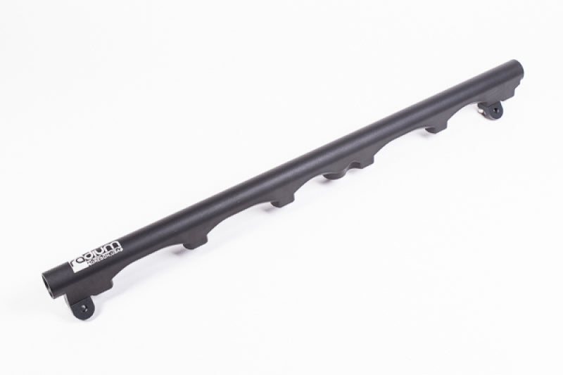 Radium Engineering 20-0070-02 BMW E46 M3 S54 Fuel Rail Kit