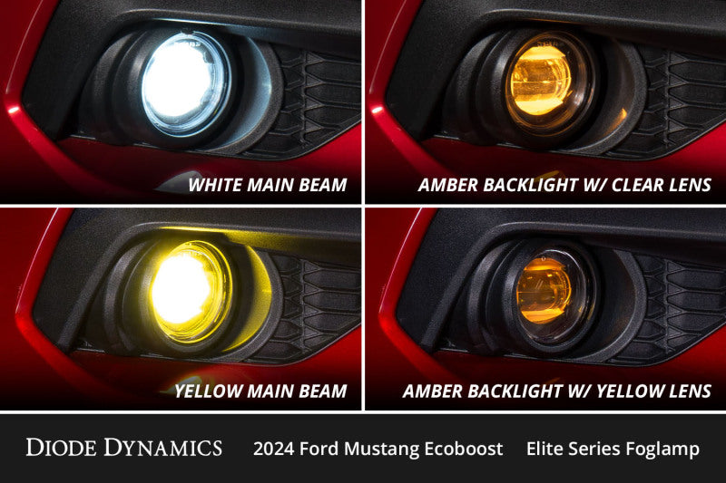 Diode Dynamics 2024 Ford Mustang EcoBoost Elite Series Add-On Fog Lamp Kit  White