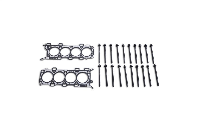 Ford Racing frpM-6067-M5018 5.0L Coyote Head Changing Kit with 12mm Head Bolts
