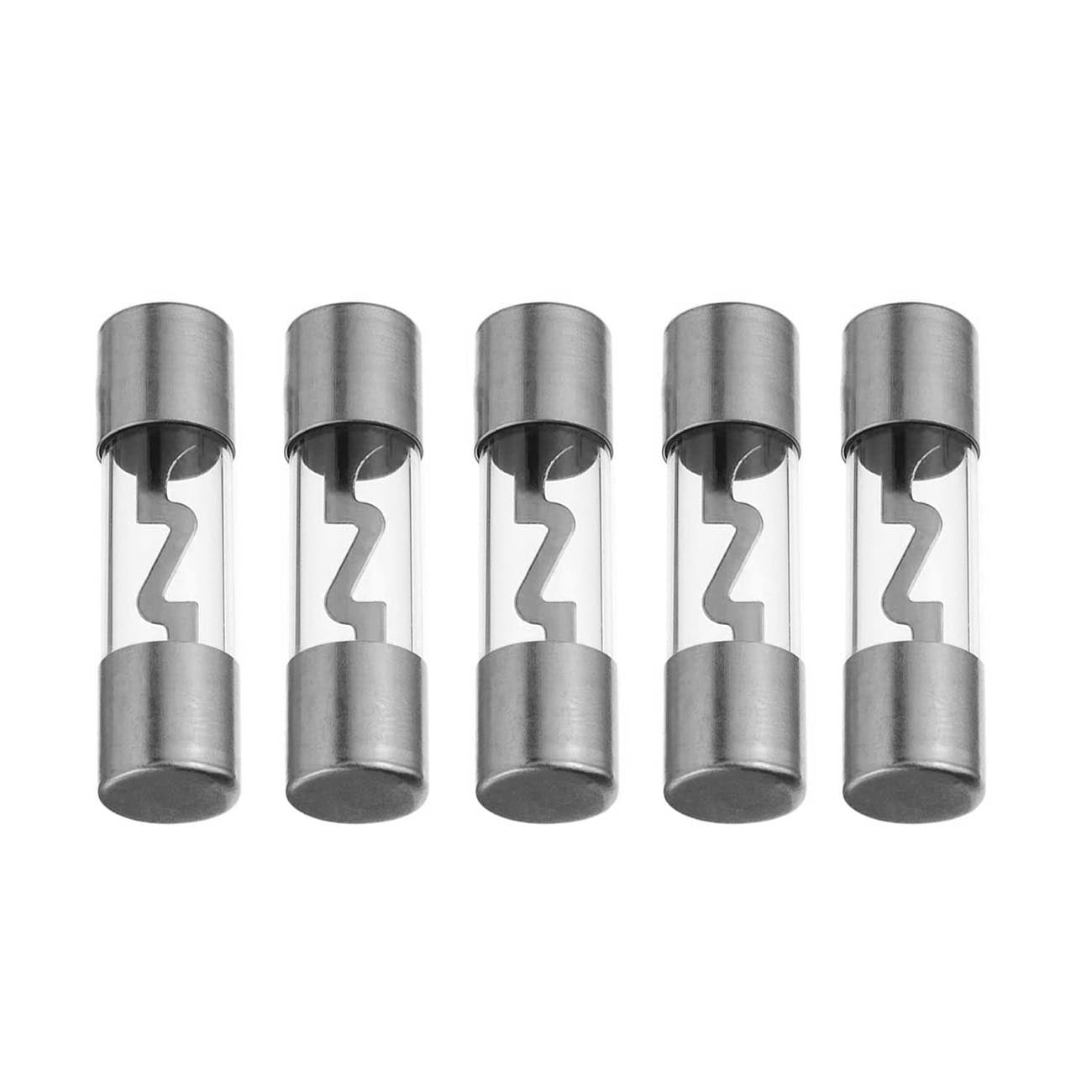 Xscorpion AGU Fuses 100 Amp Platinum - Pack of 5