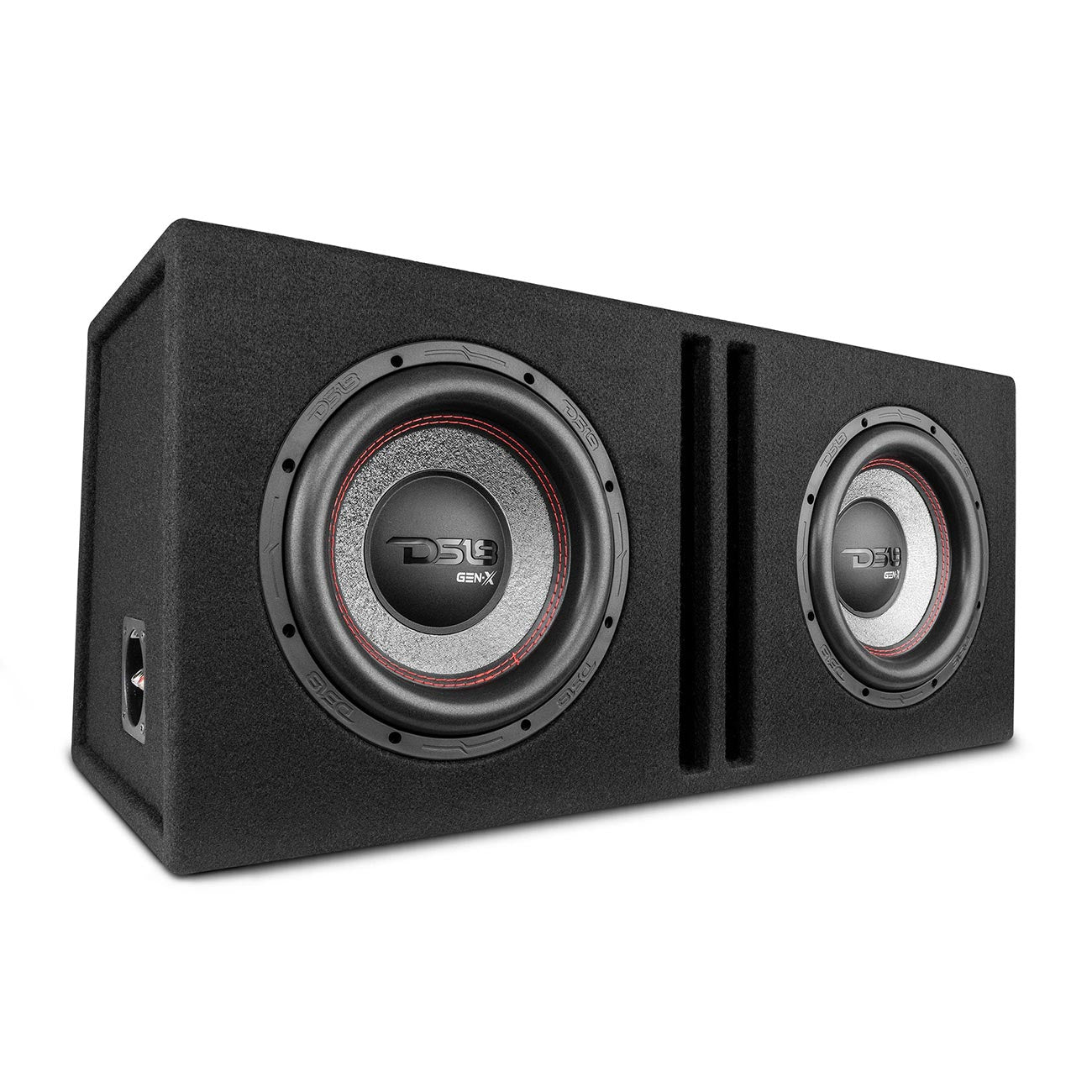 DS18 Dual 10-Inch Subwoofer Ported Enclosure - Model GENX210LD