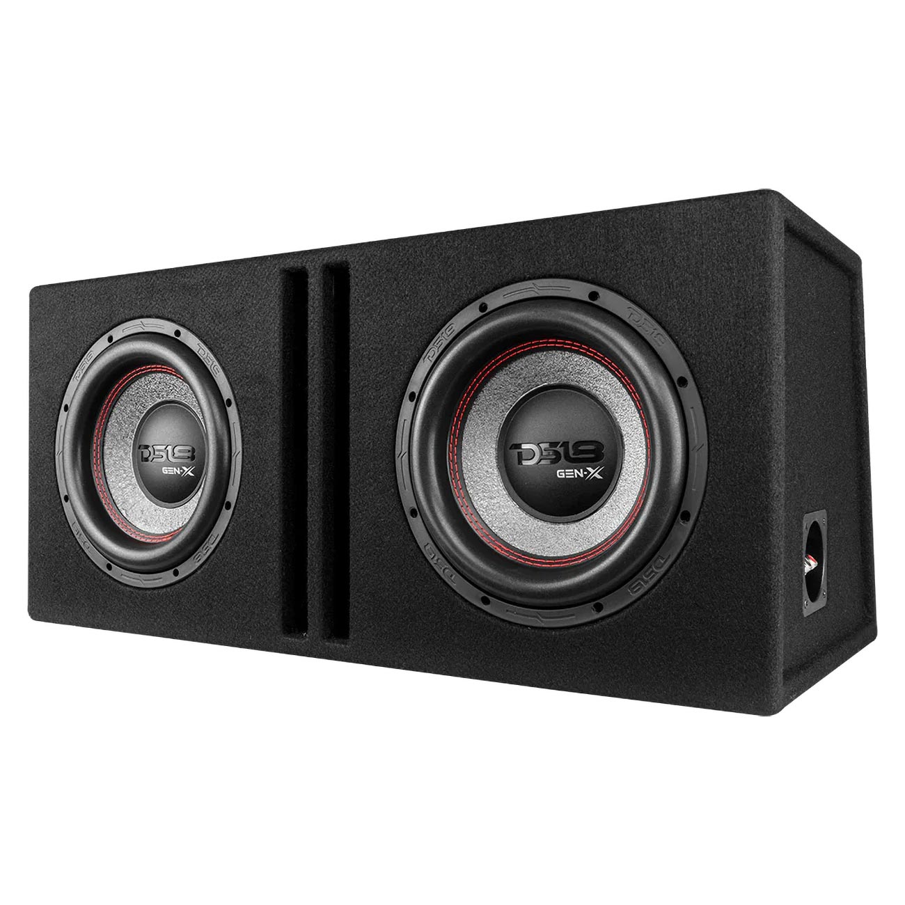 DS18 Dual 10-Inch Subwoofer Ported Enclosure - Model GENX210LD