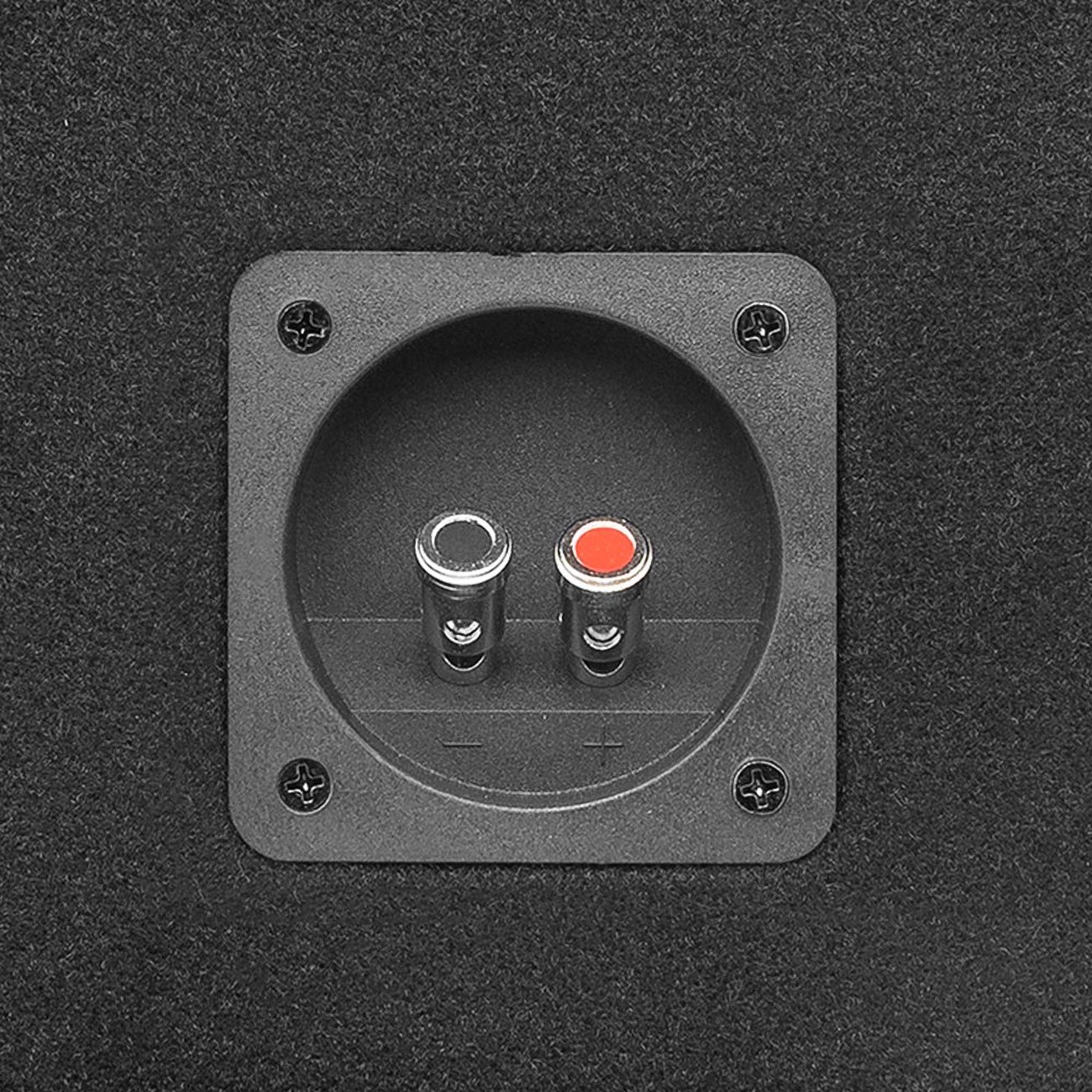 DS18 GENX212LD Dual 12-Inch Subwoofer Ported Enclosure